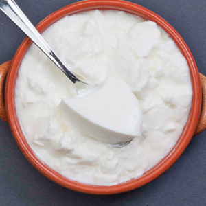 Plain Dahi